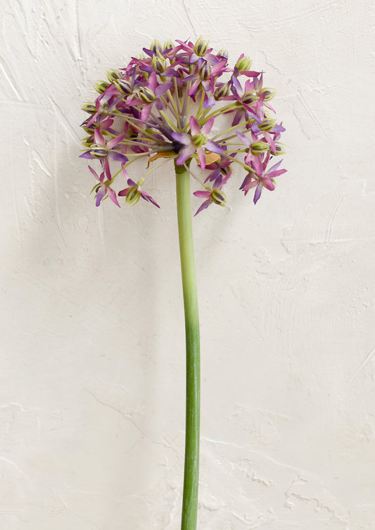 Faux Allium Stem