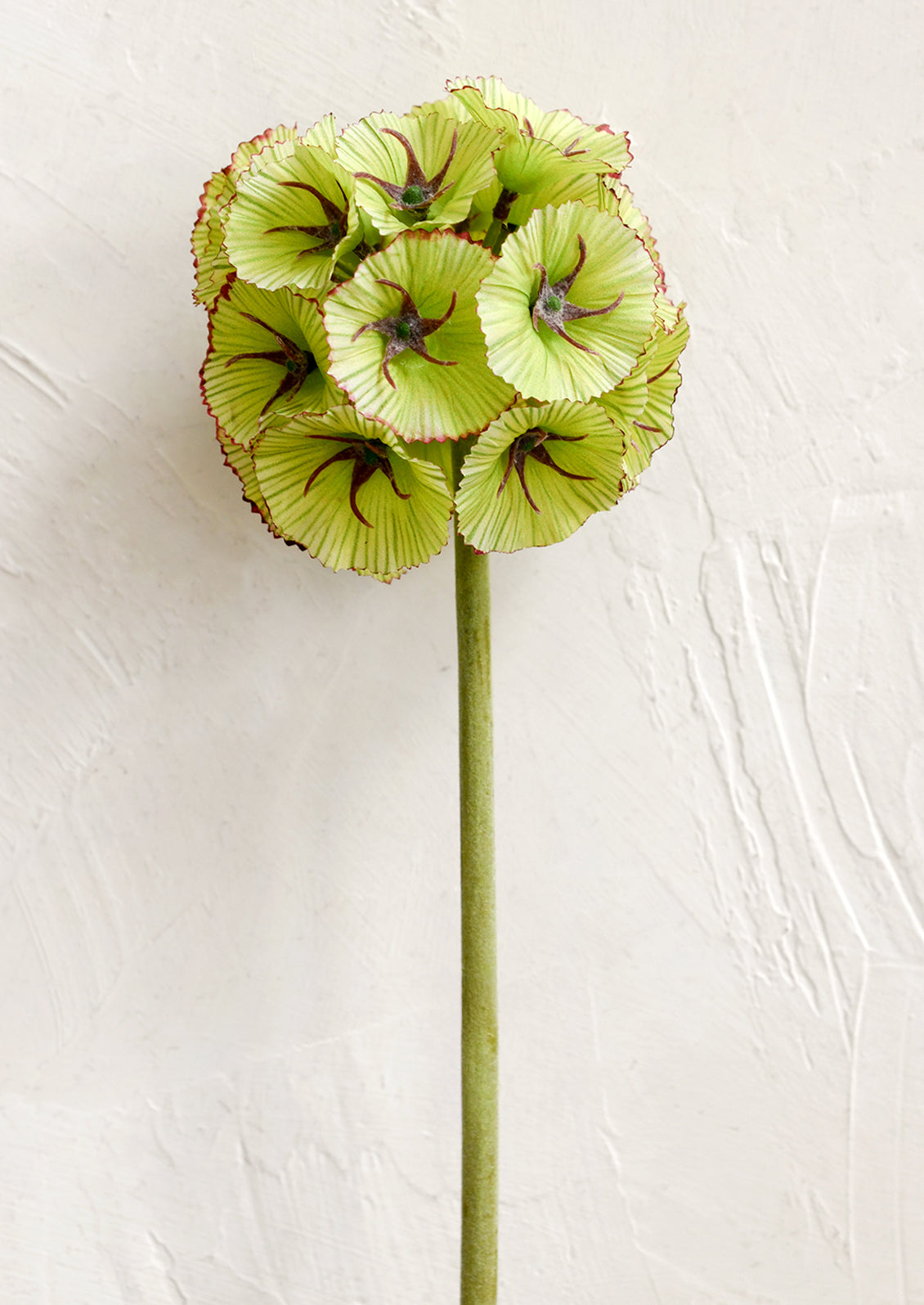 Faux Scabiosa Seedpod Stem