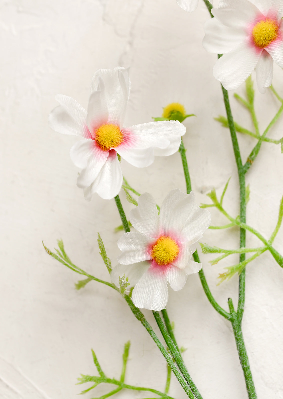 Artificial flowers with white petals and pink centers on a white background