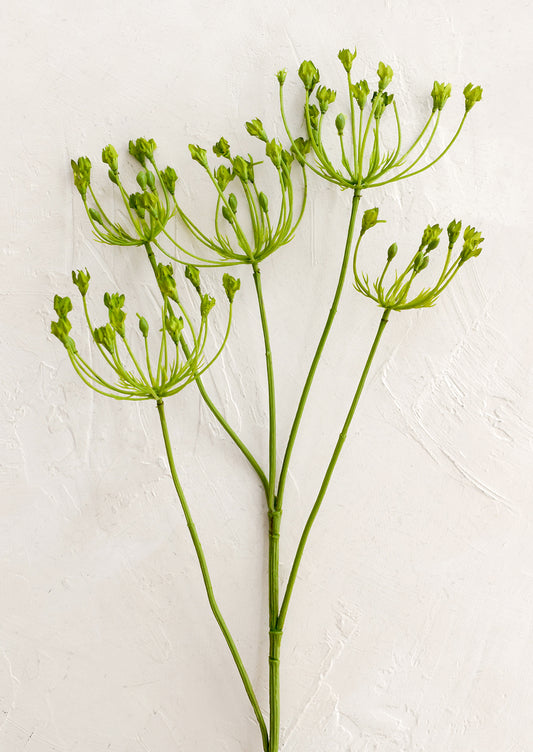 Green plant stems with small buds on a textured white background