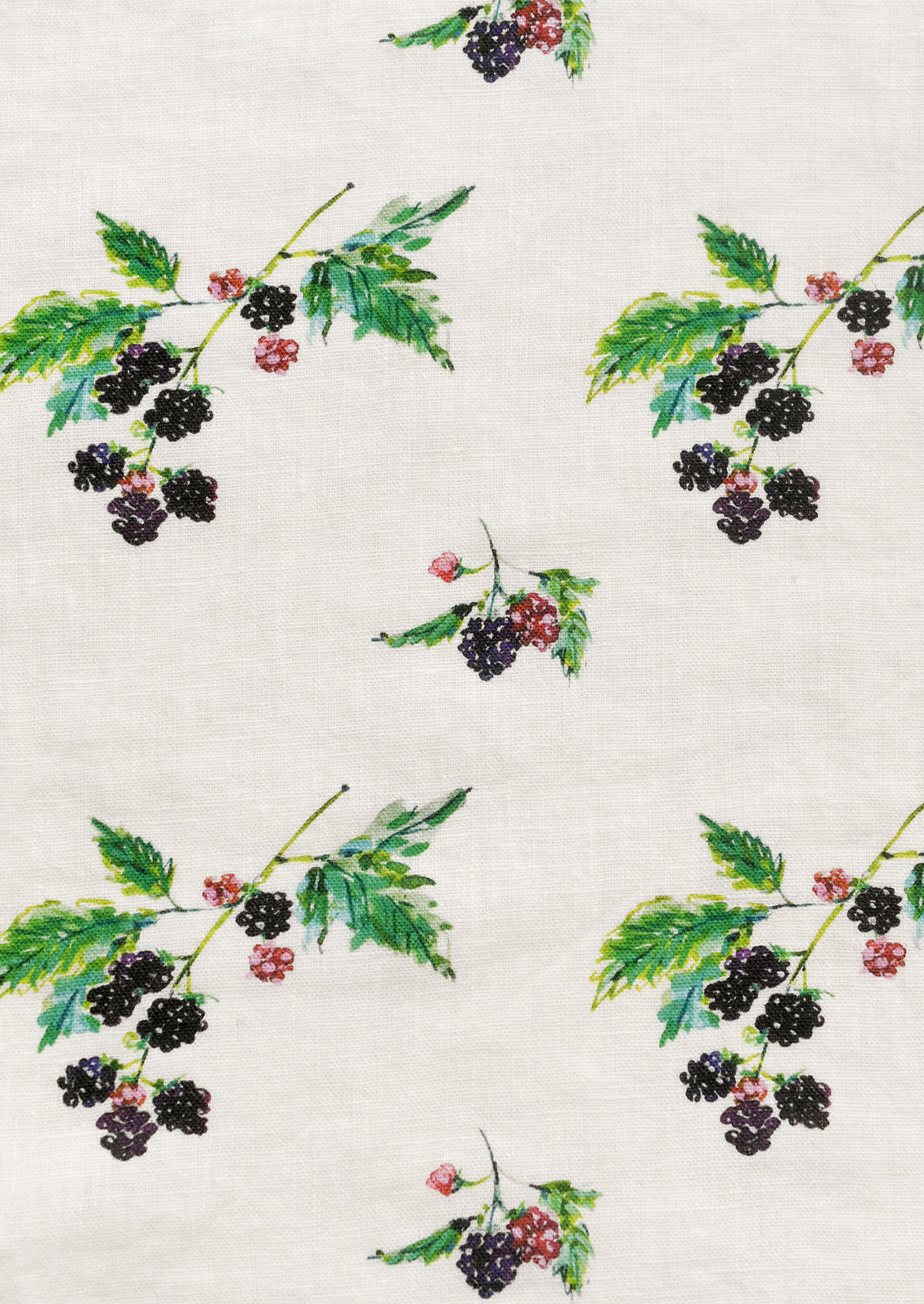 Pattern of blackberries and green leaves on a light background