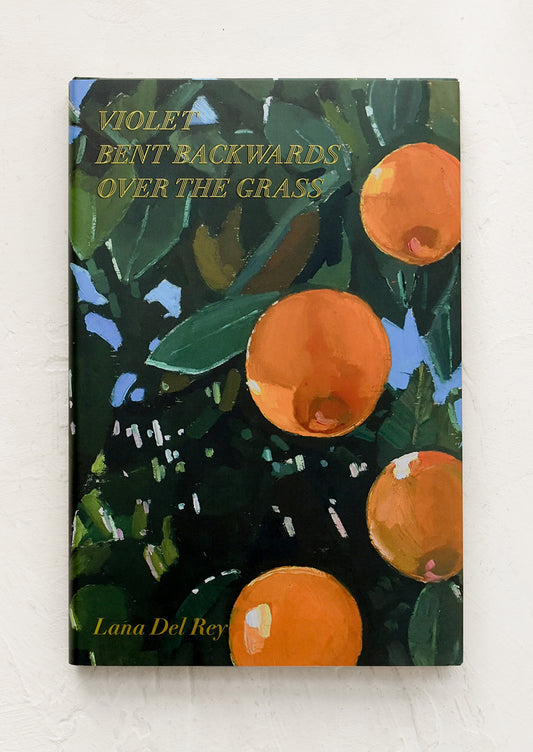Book cover with oranges and leaves on a white background