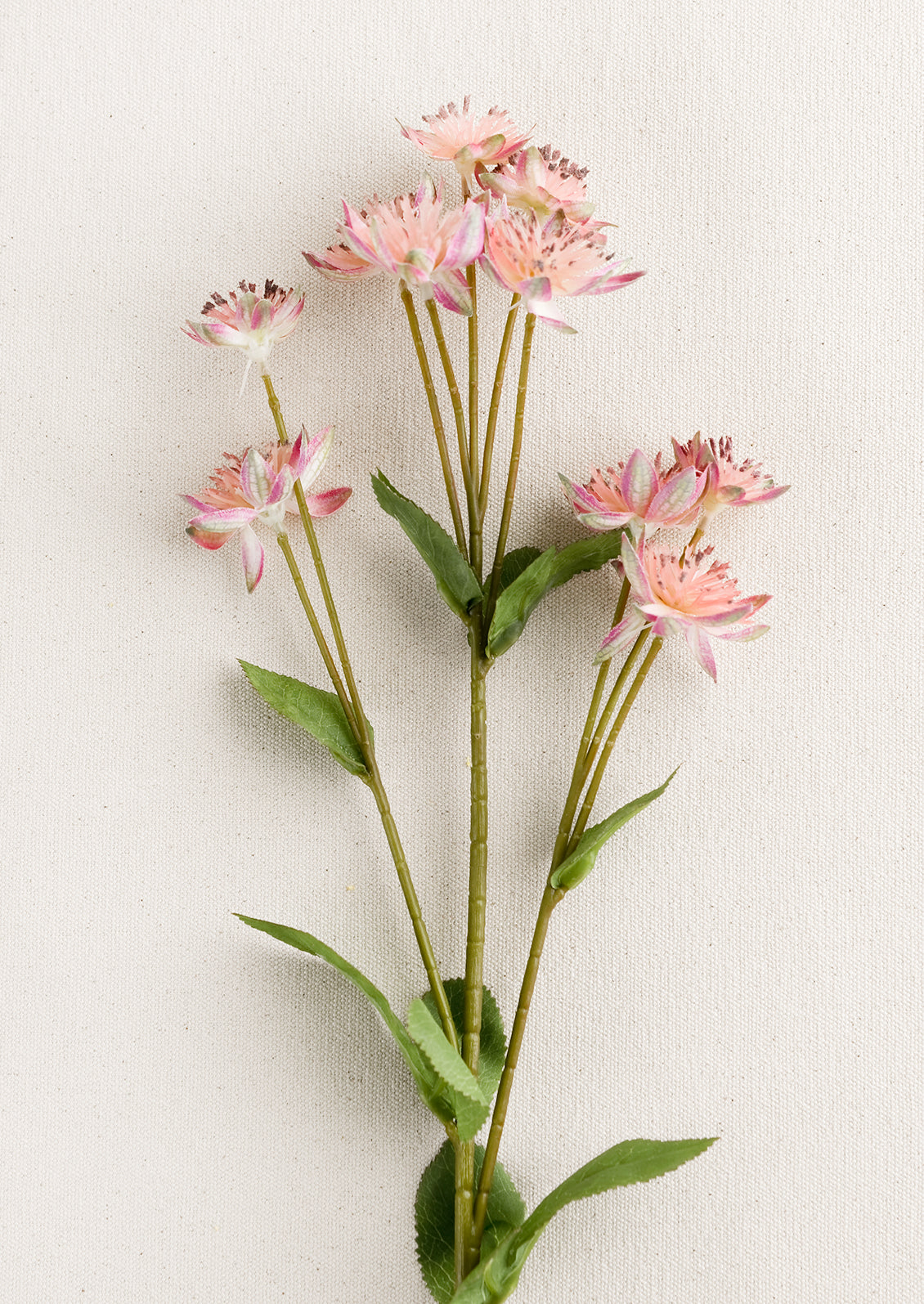 A faux flora spray of armeria flower in peach pink.