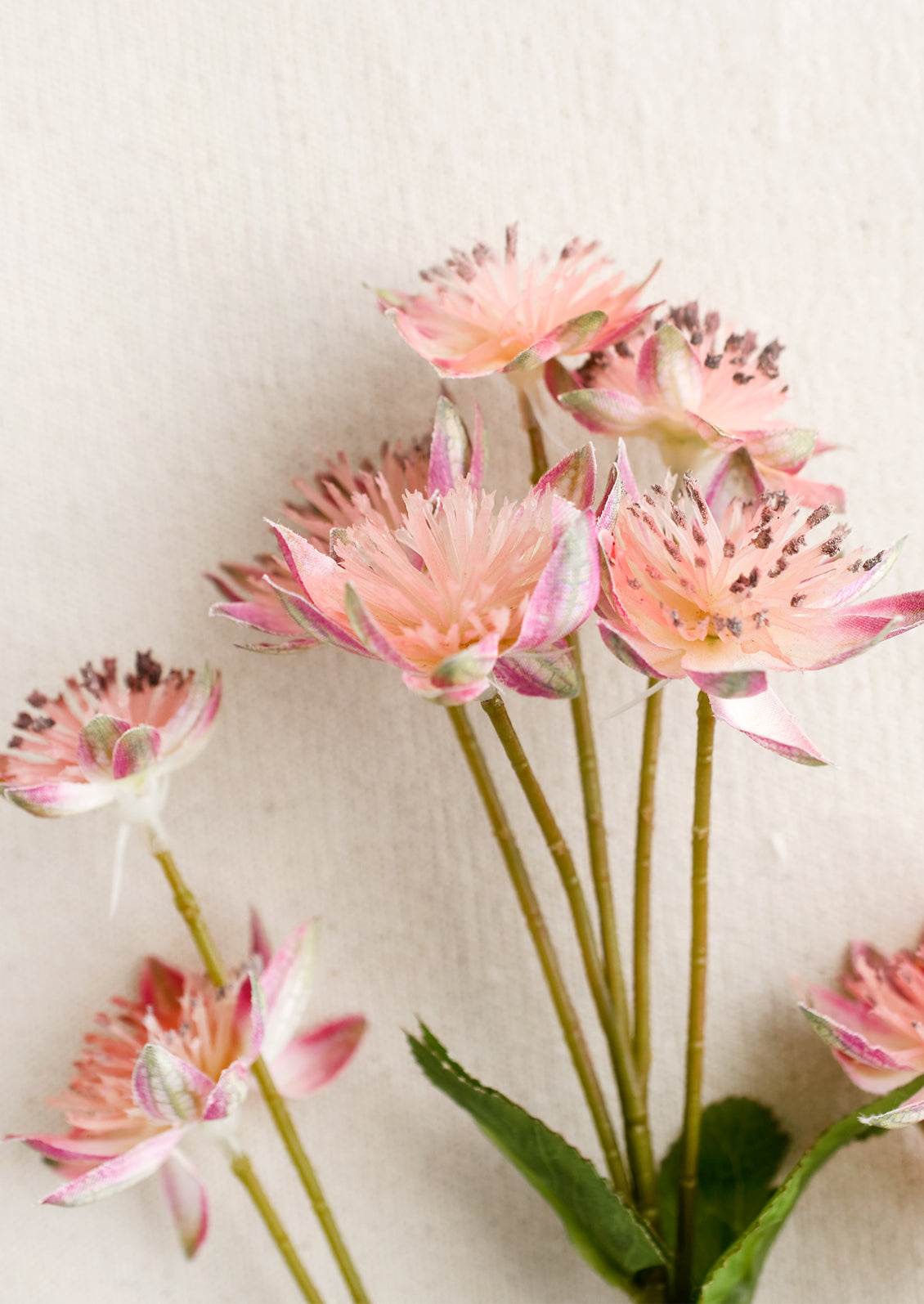 A faux flora spray of armeria flower in peach pink.