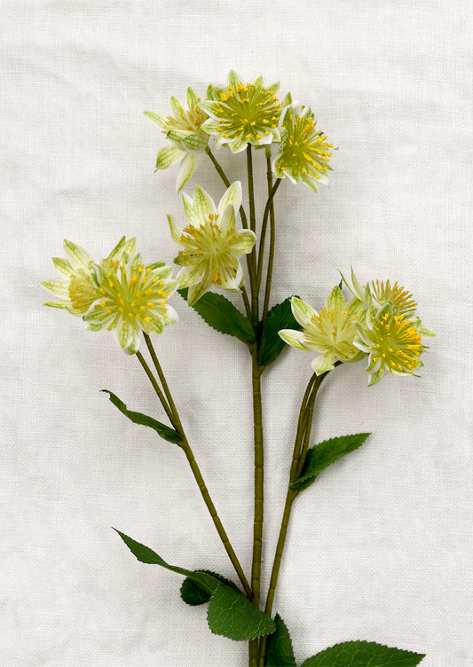 A faux flora spray of armeria flower in green.