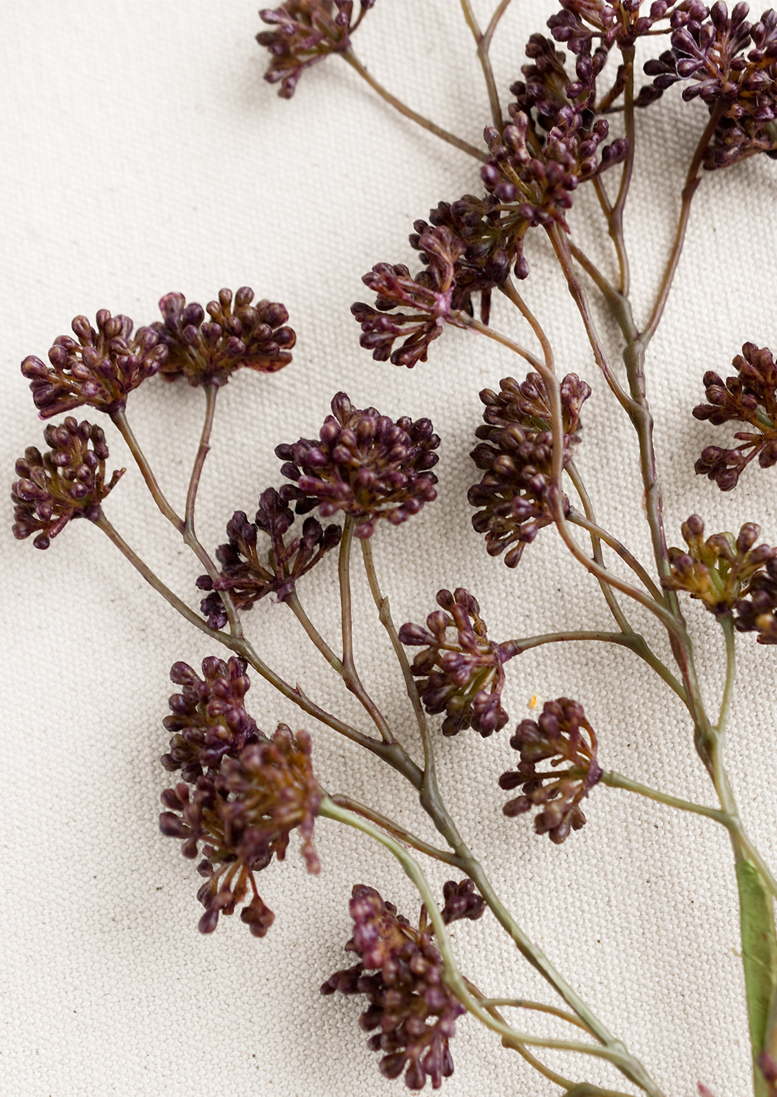 A faux sedum branch with dainty buds in aubergine.