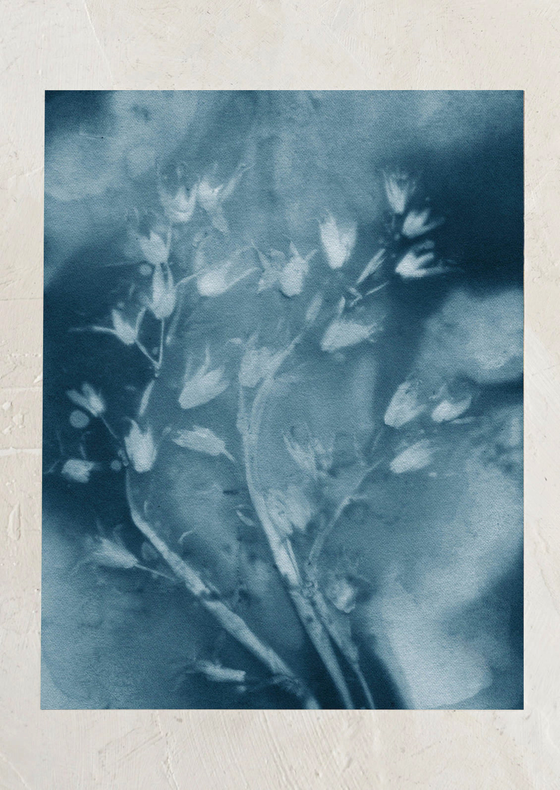 Dropping Star in Blue Print