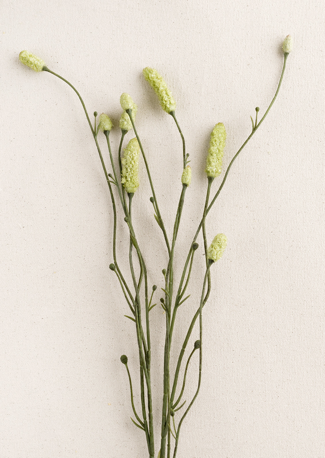 A faux burnet spray in green.