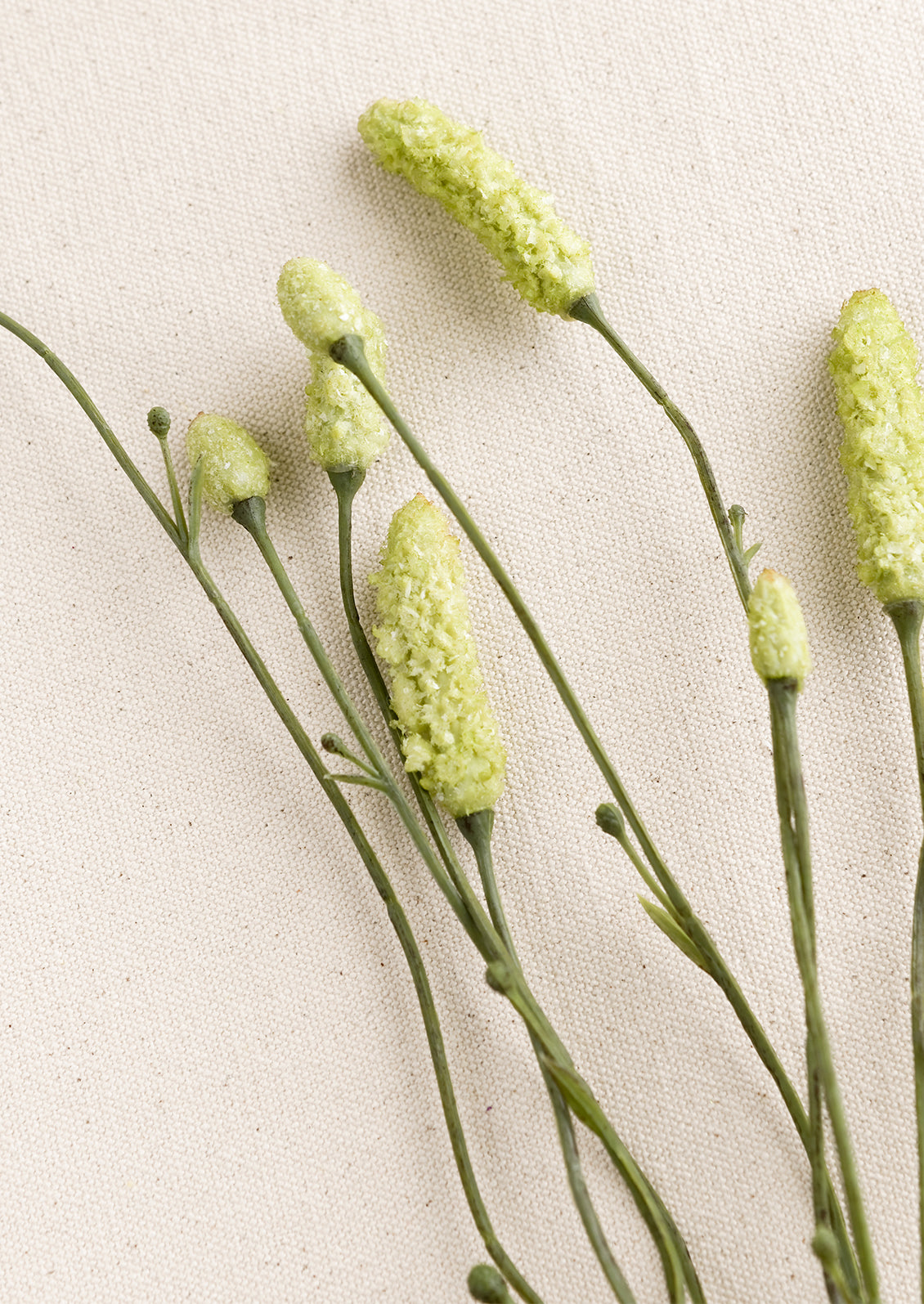 A faux burnet spray in green.