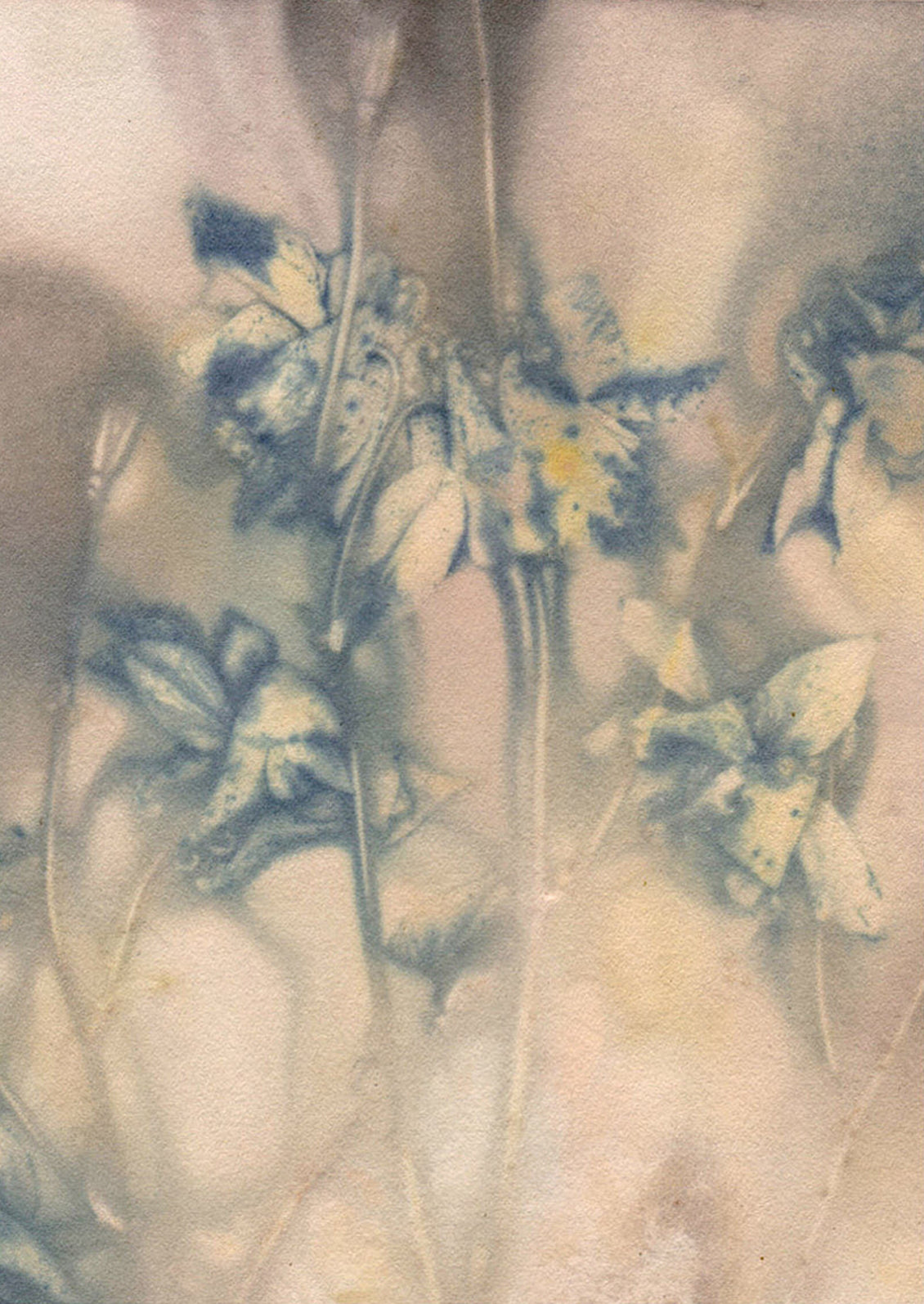 Artistic depiction of flowers with a soft, blurred background