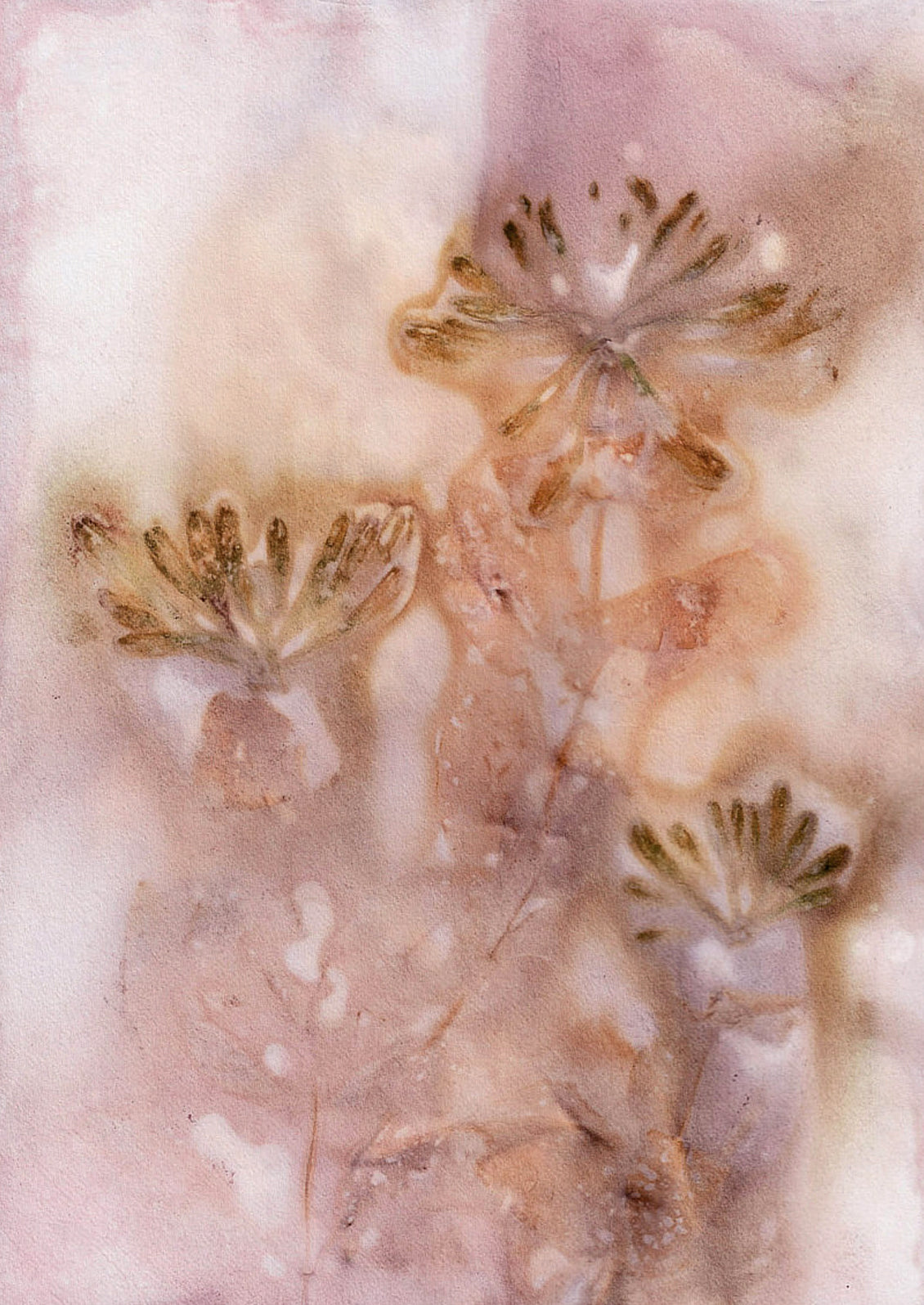 An abstract art print of blurry flower imprint in pink.