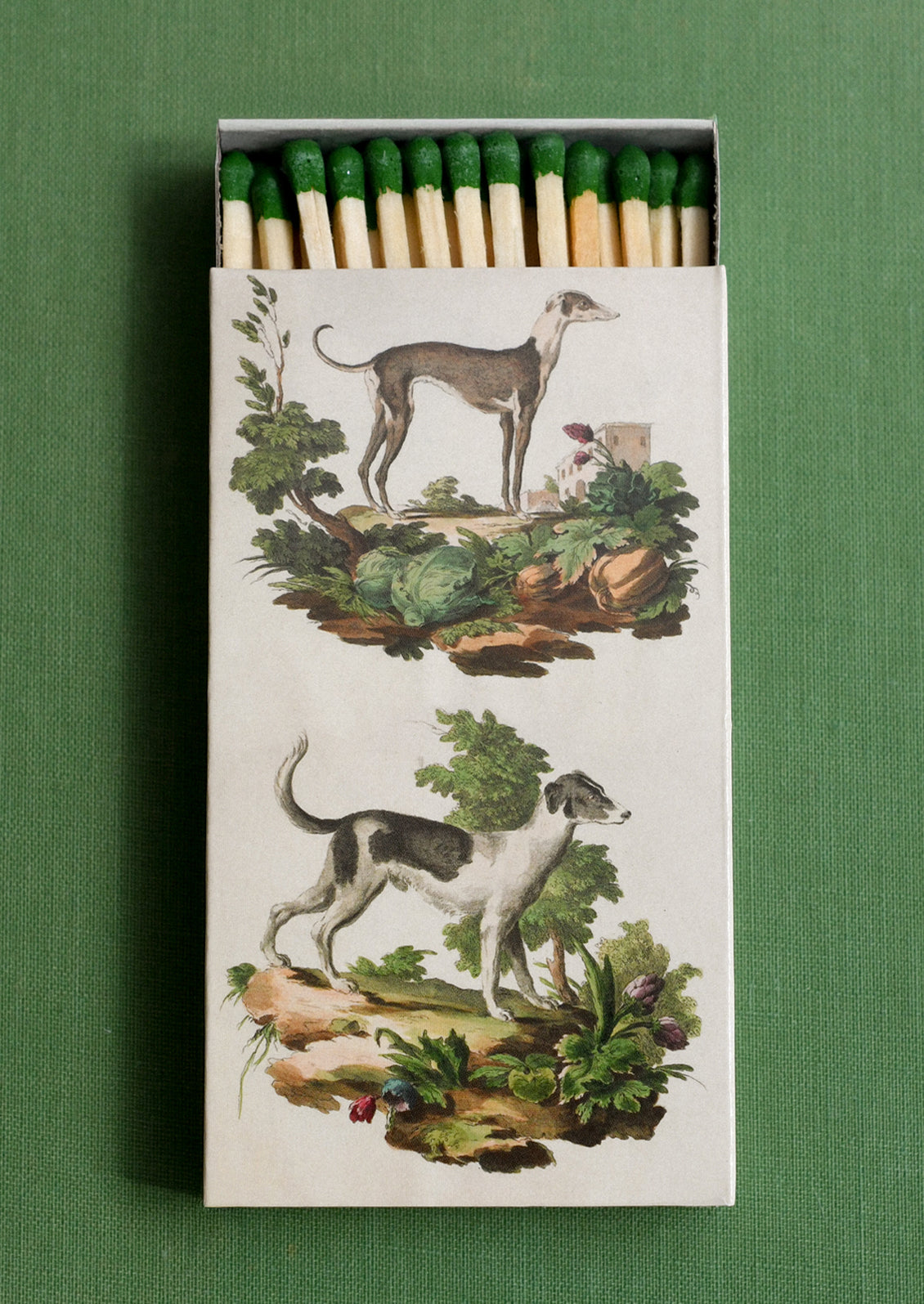 A matchbox with greyhound design, holding green-tipped matches.