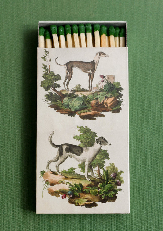 A matchbox with greyhound design, holding green-tipped matches.