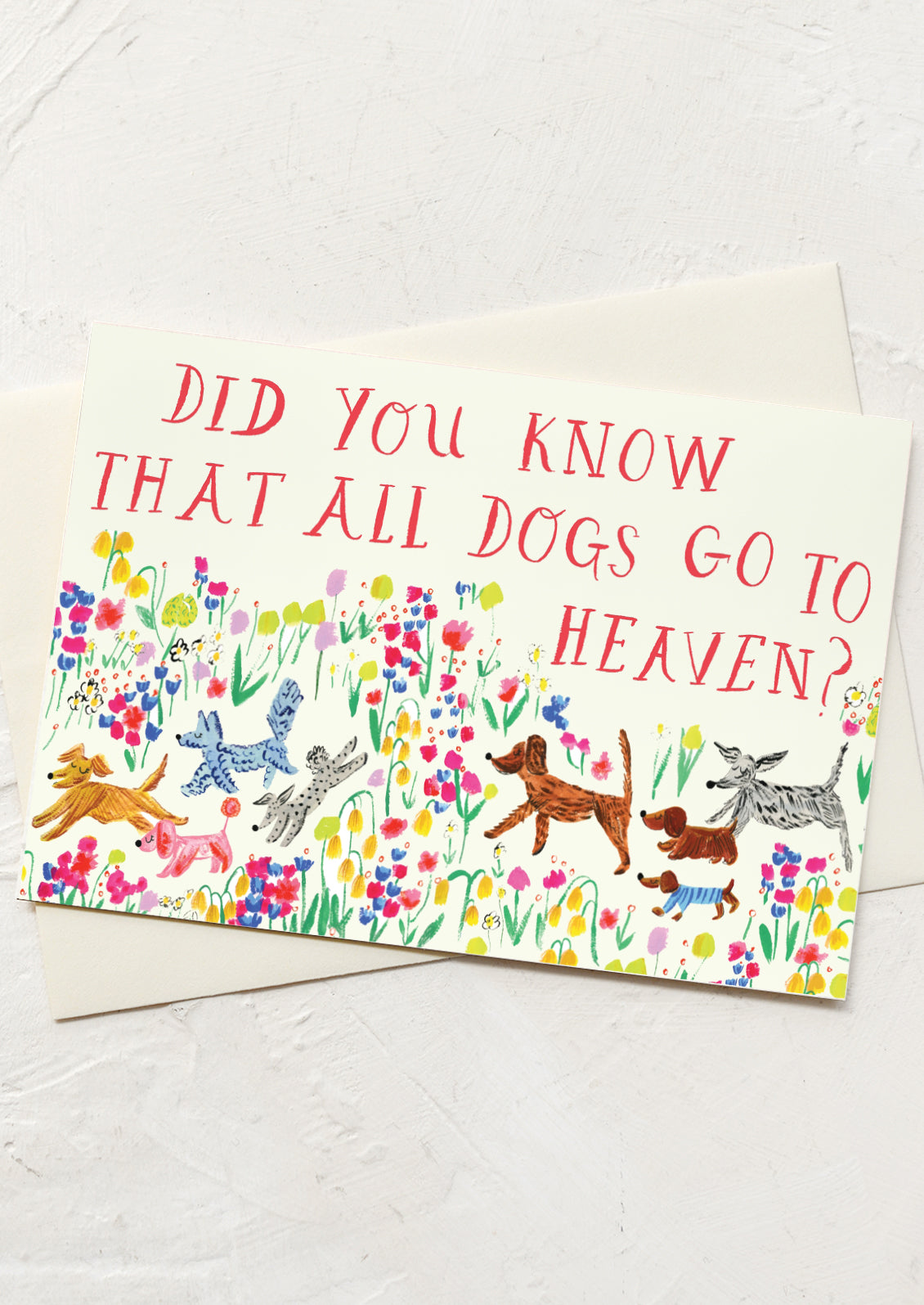 Card with colorful illustrations of dogs and flowers, featuring text about dogs going to heaven.