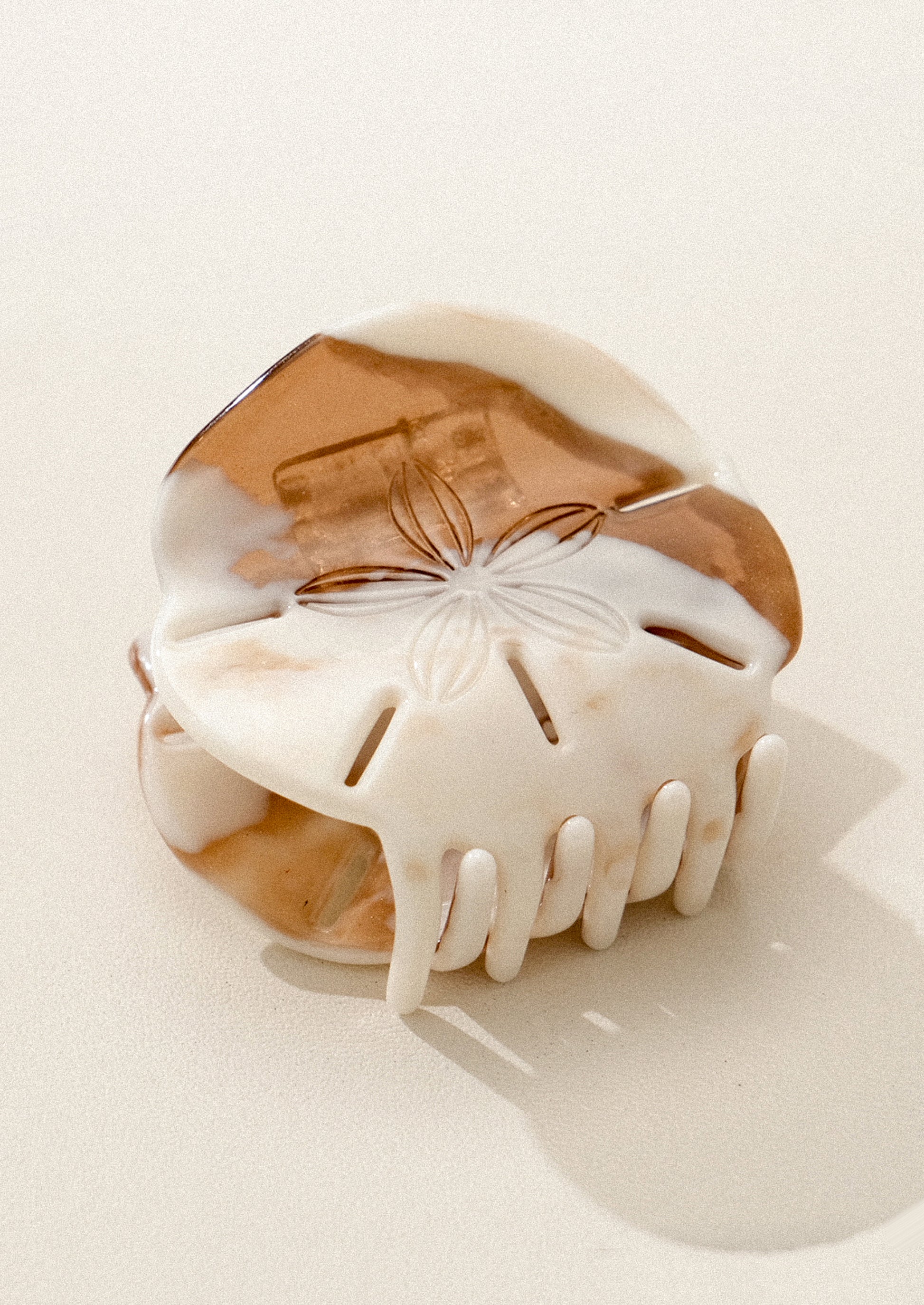 Decorative sand dollar hair claw on a white background