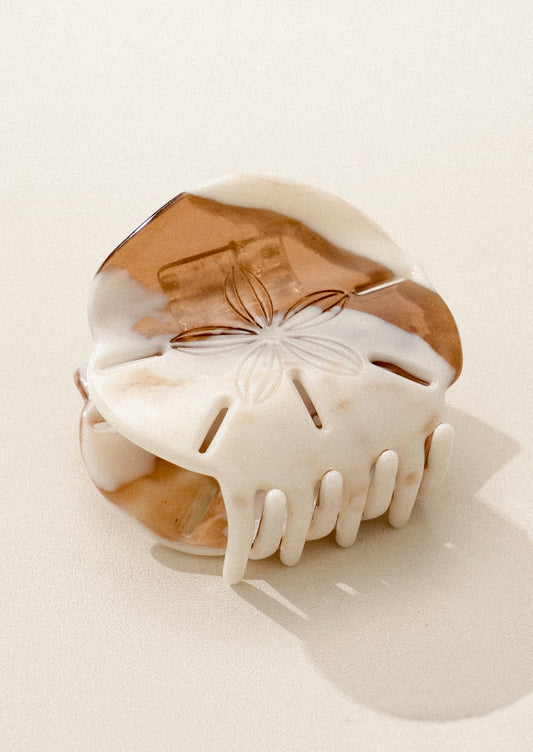 Decorative sand dollar hair claw on a white background