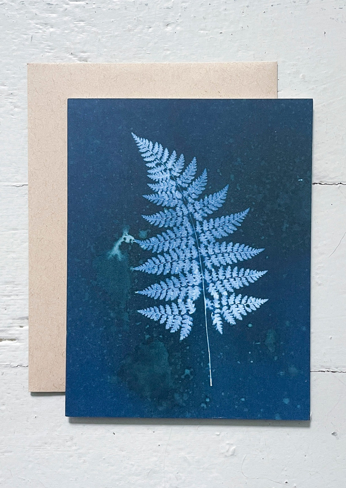 Greeting card with a white fern design on a blue background, paired with a beige envelope.