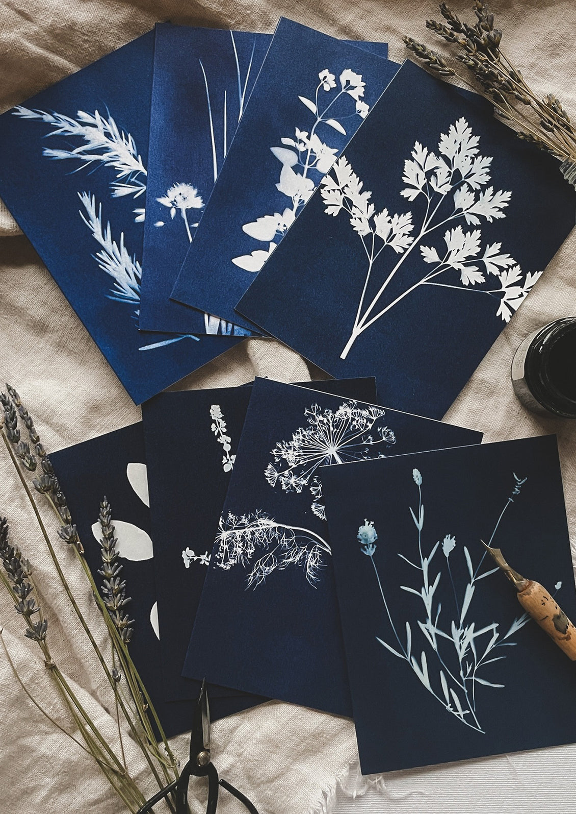 Set of blue botanical cards on a textured surface with dried plants.