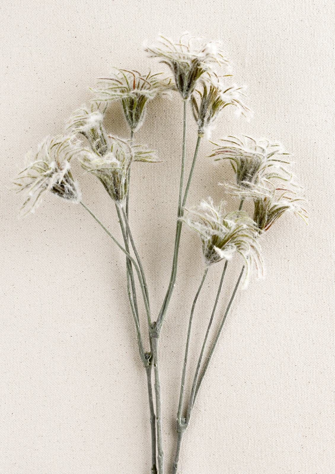 A faux clematis fuzzy bud spray.