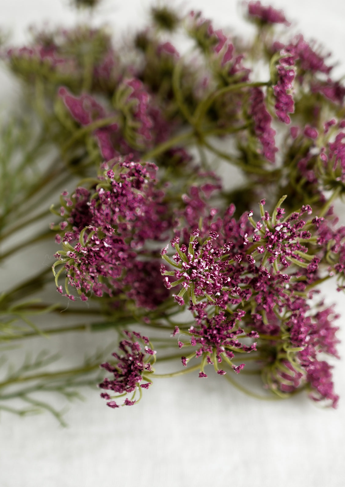 A bundle of faux purple queen anne's lace.