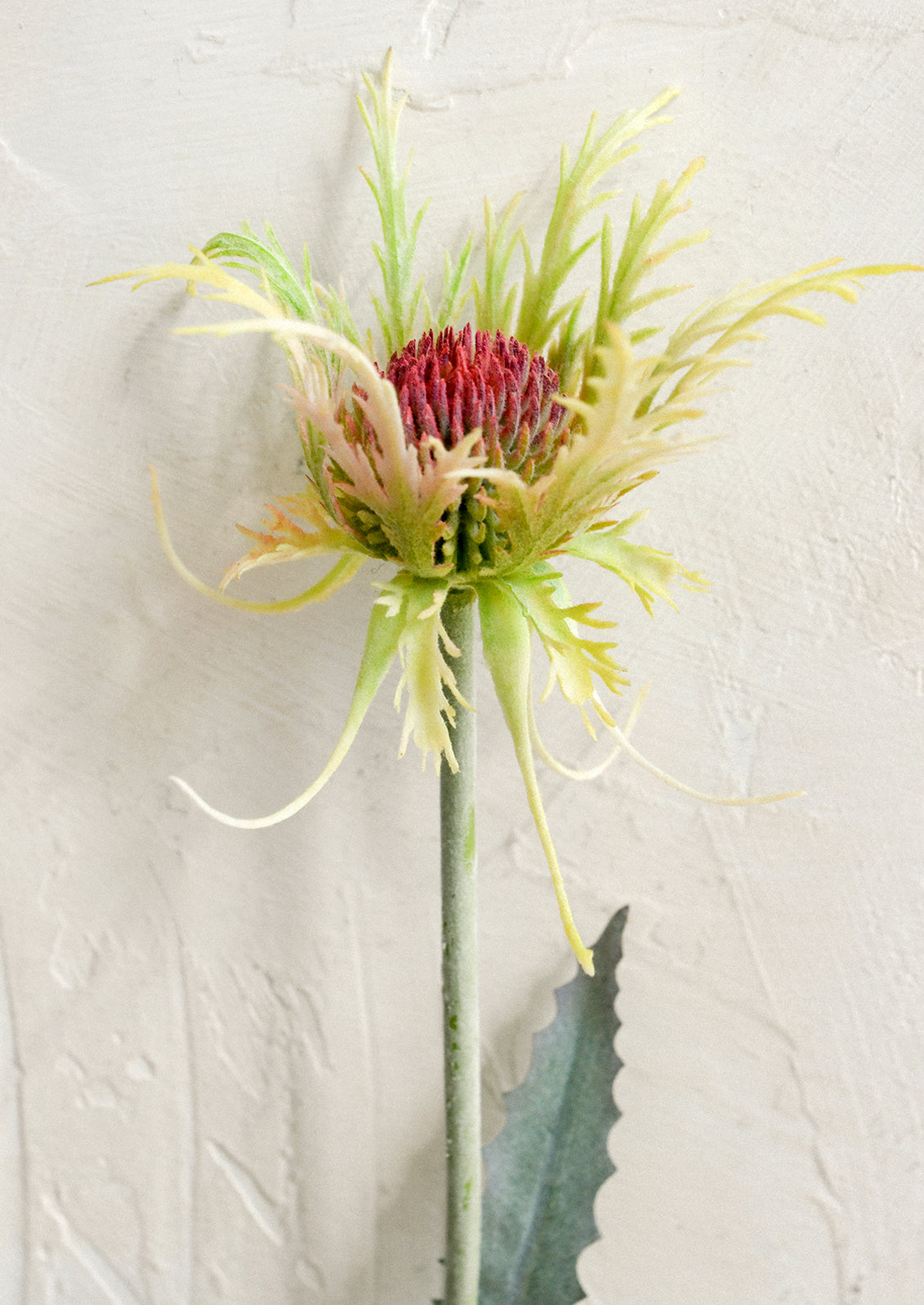 A faux flower stem depicting a green and pink thistle flower.