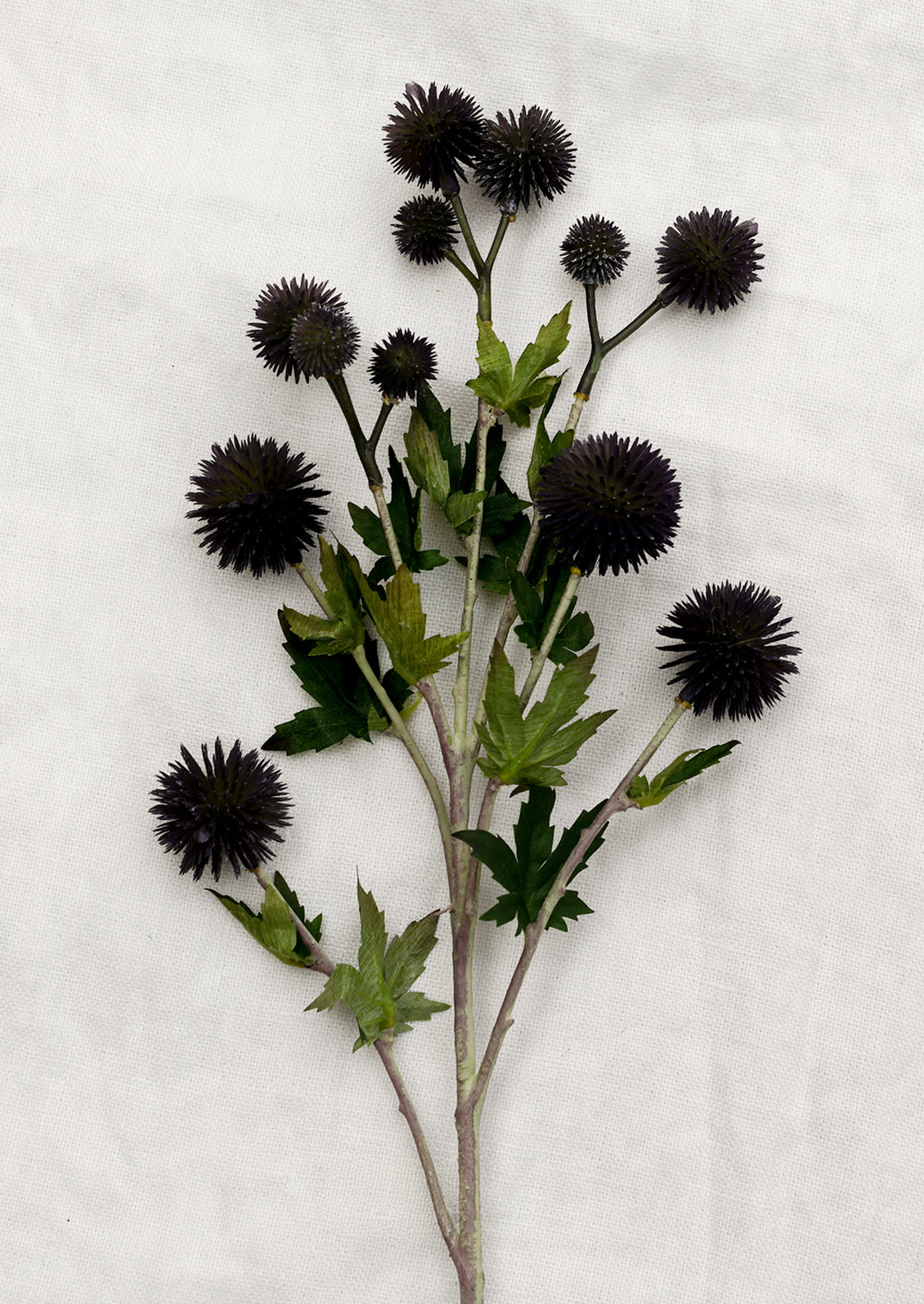 A faux spray of globe thistle flower in dark blackish color.