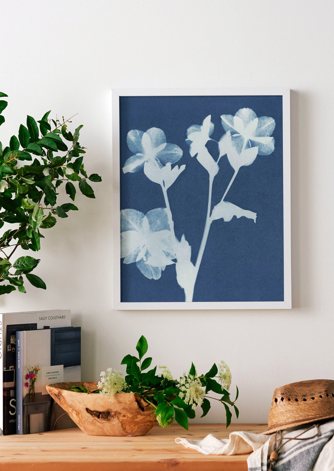 Cyanotype print of hellebore flowers on a blue background