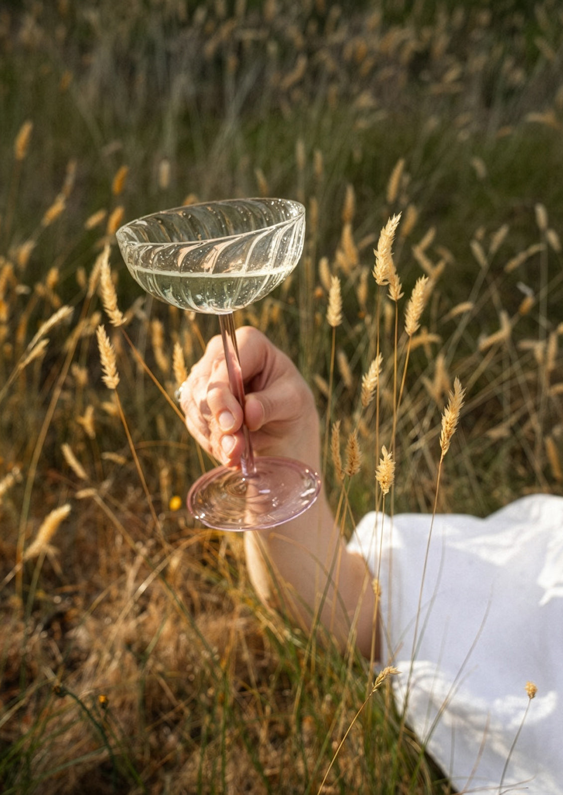 Hand holding a decorative glass in a field of tall grass
