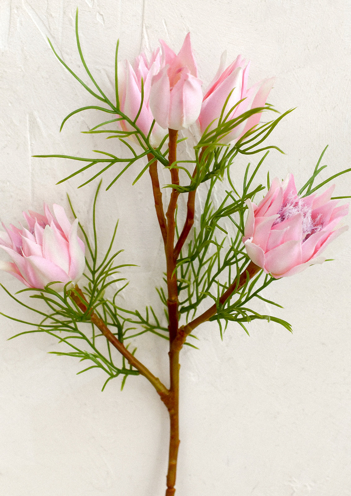 A faux flower stem depicting a protea flower in light pink.