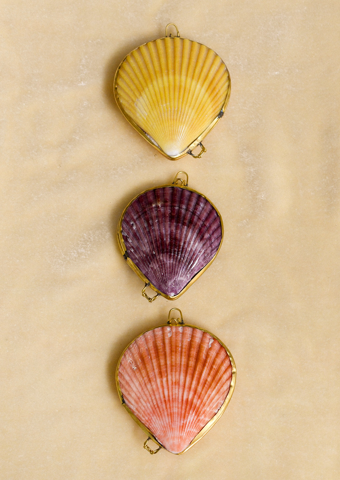 Three shell trinket boxes in assorted colors.