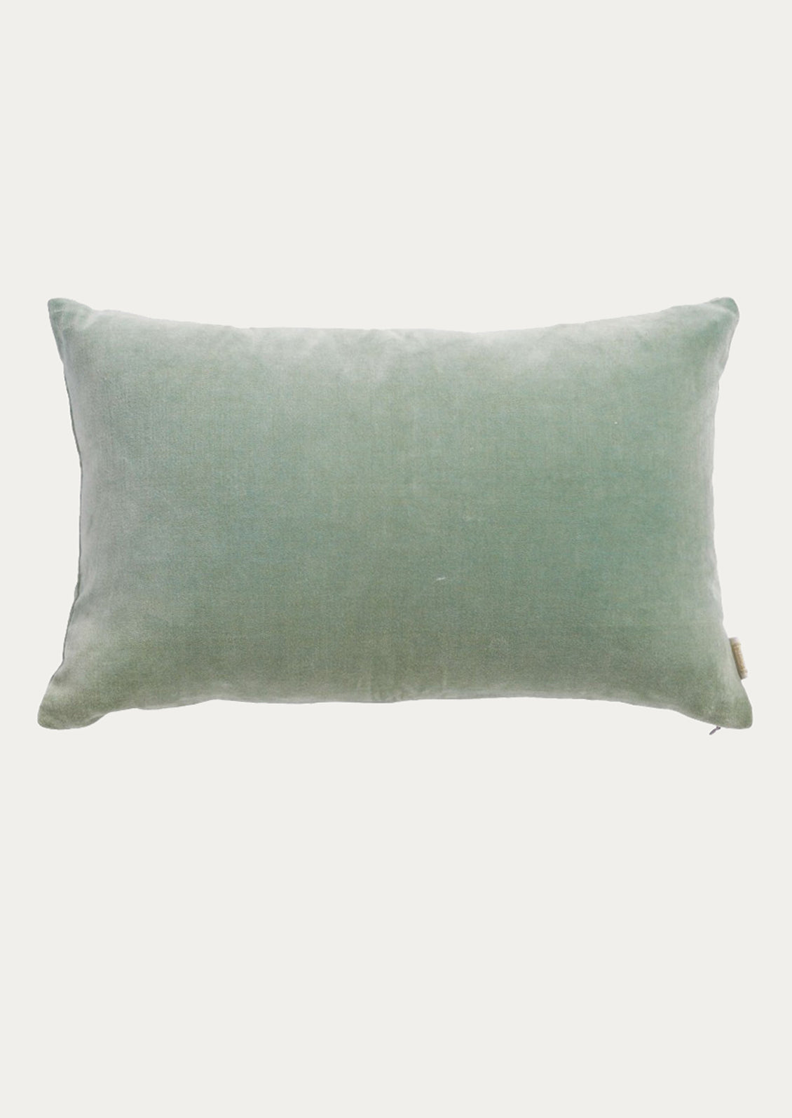 A rectangular lumbar throw pillow in a soft sage green velvet fabric.