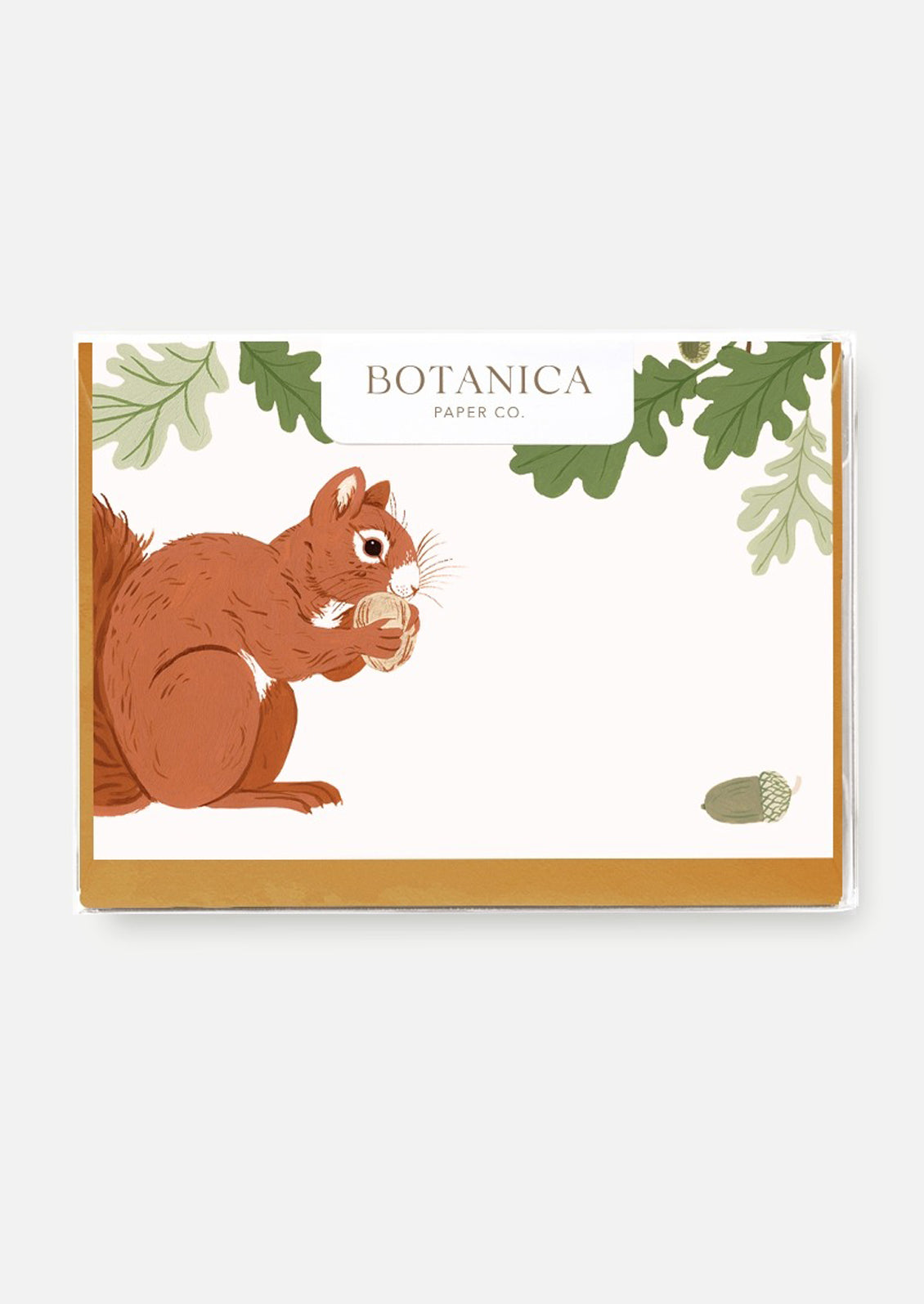 Notecards with a squirrel illustration and Botanica Paper Co. branding on a white background