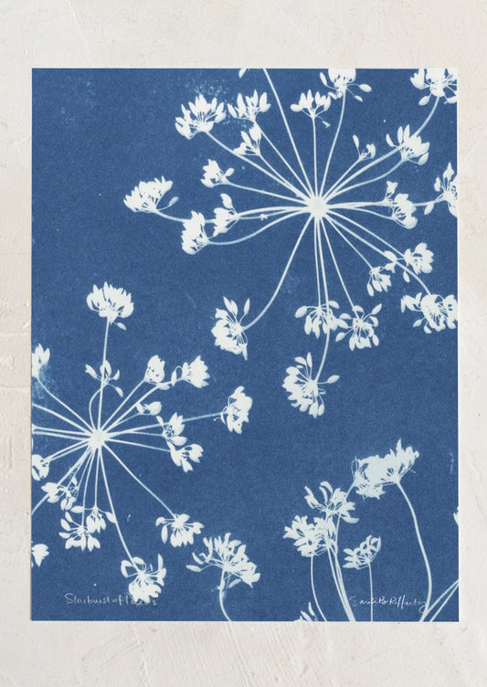 A cyanotype art print with blue background and white silhouette of dill flowers.