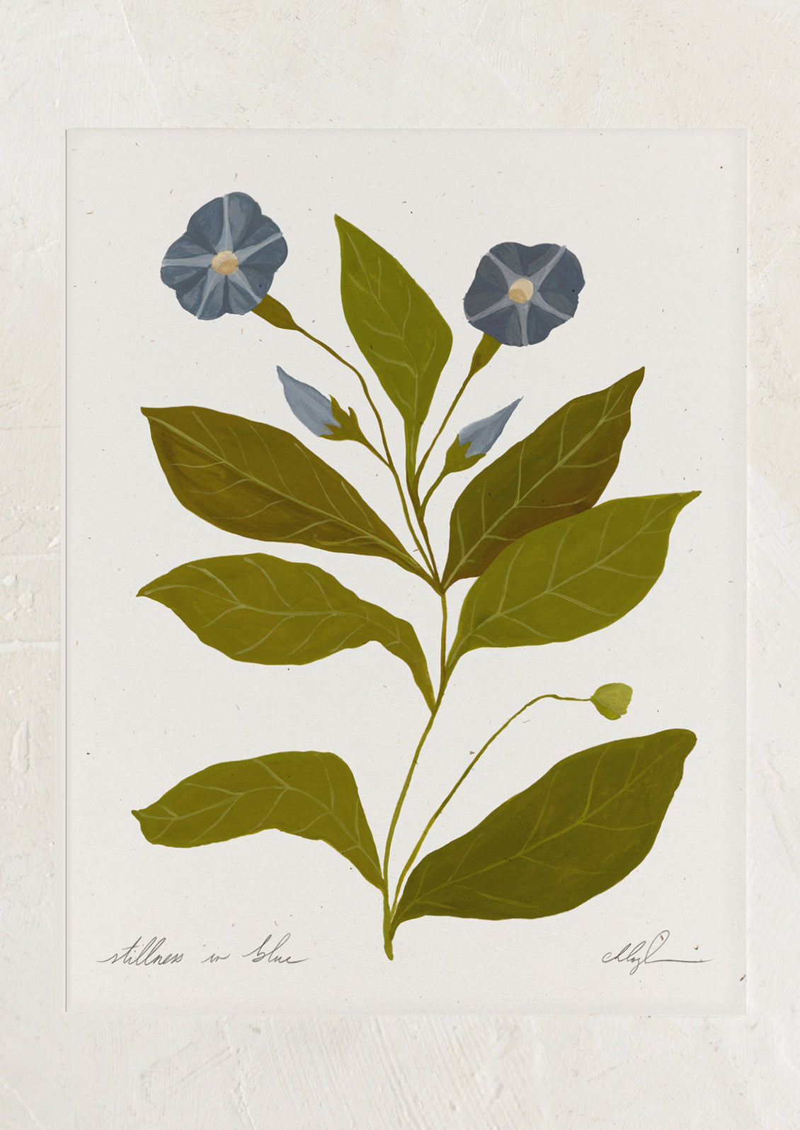 An art print of an illustration of a blue flower with large green leaves.
