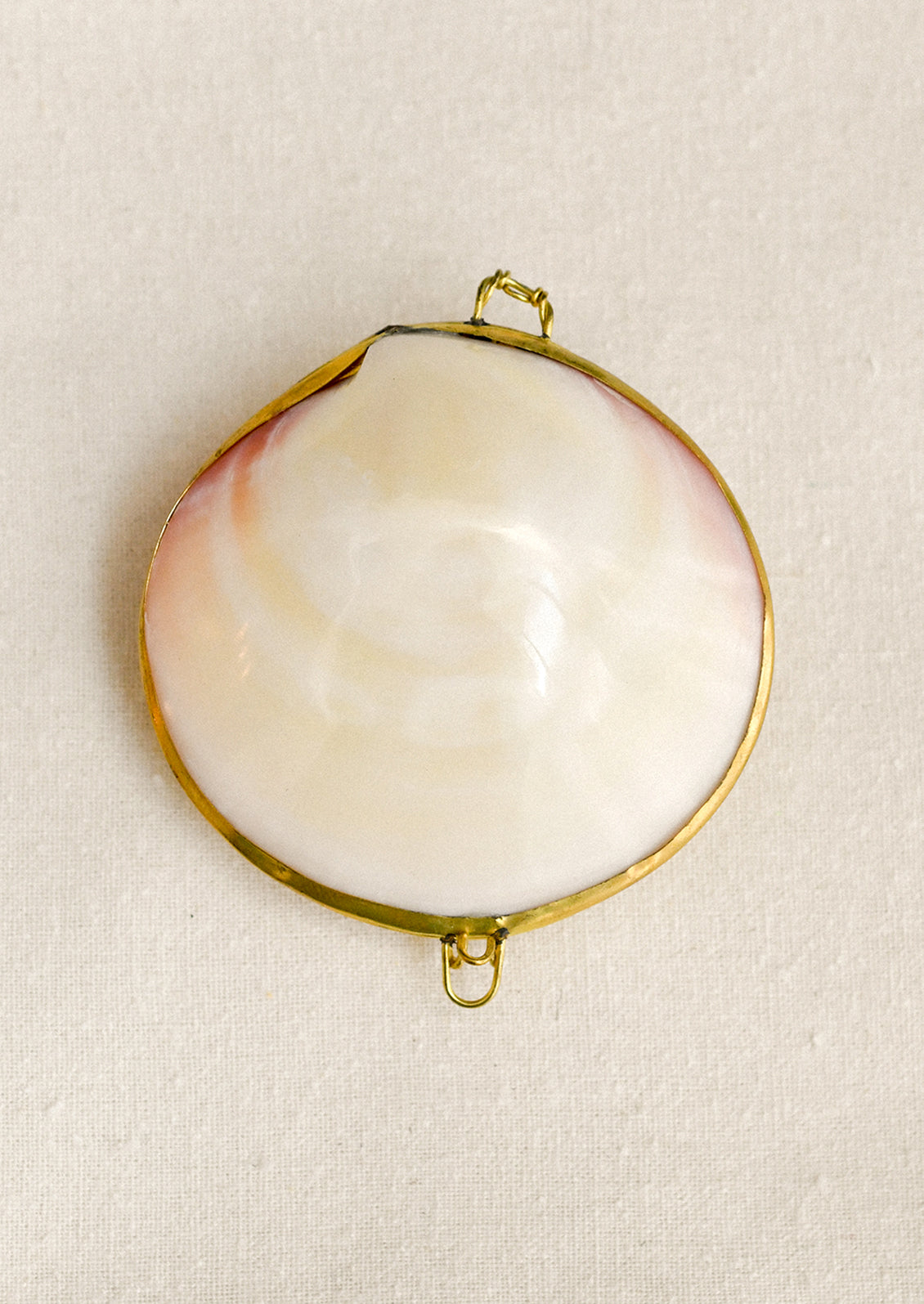 A polished tiger clam shell trinket box.