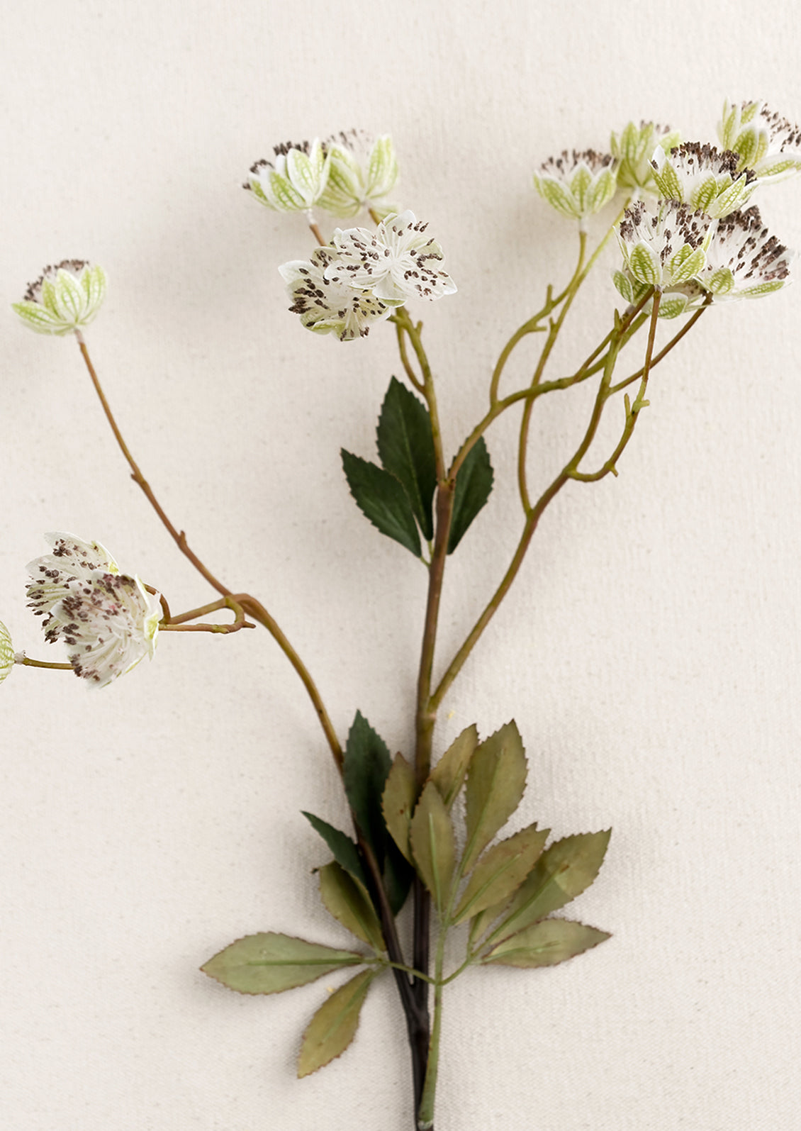 A faux nigella flower spray in white.