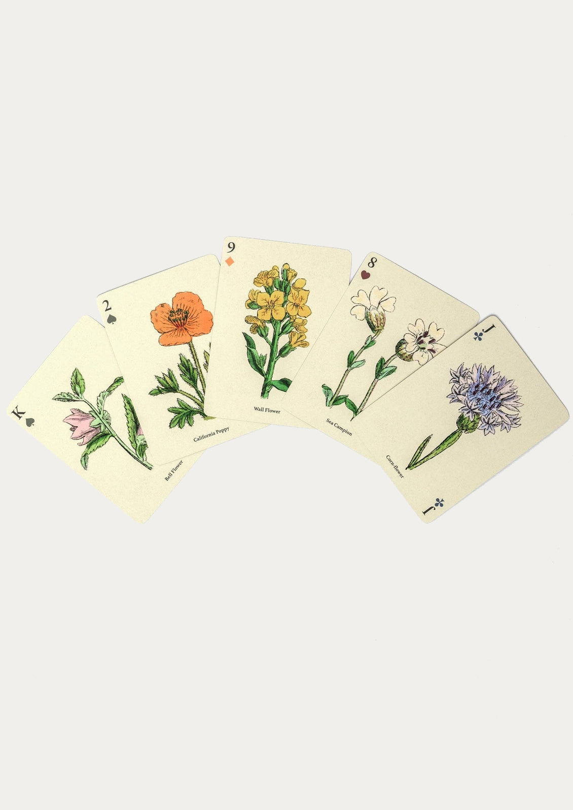 Flower illustrated standard playing cards.