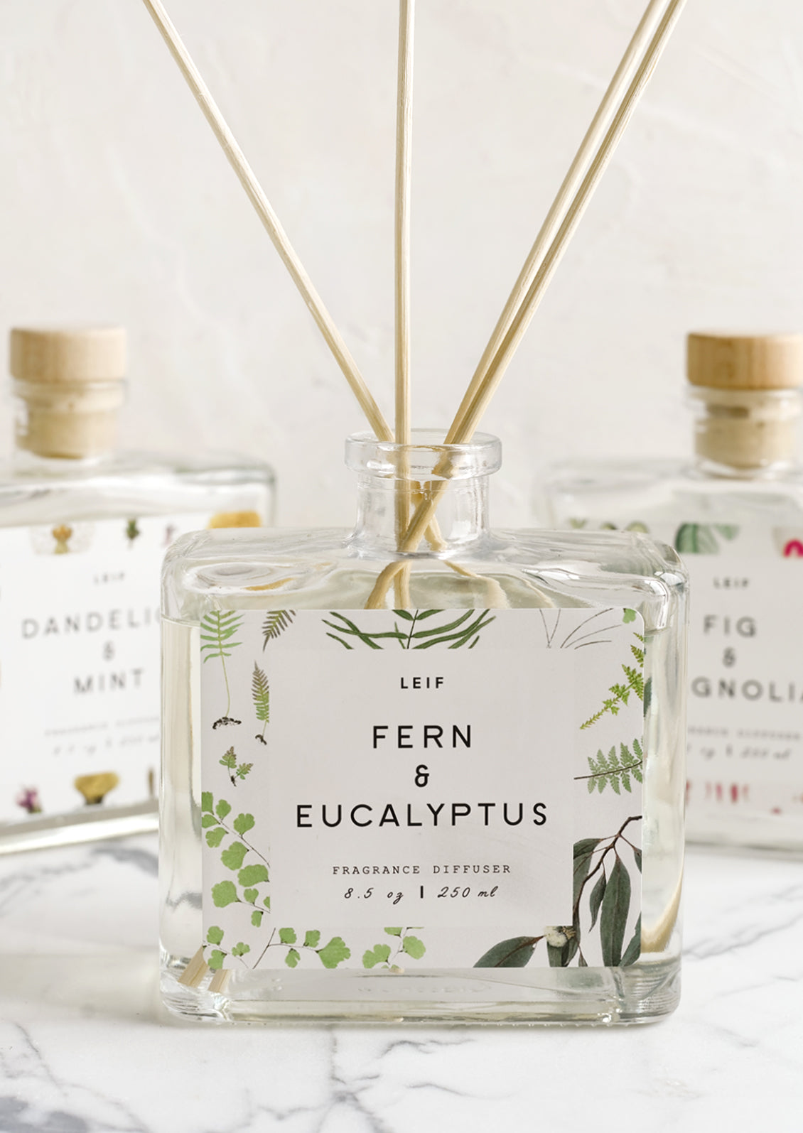 A fern and eucalyptus scented reed diffuser with glass bottle.