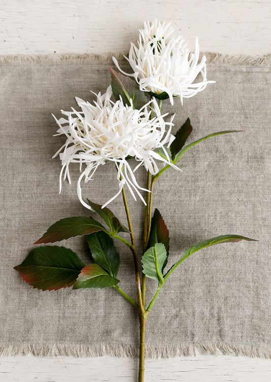 A faux chrysanthemum stem with white flowers.