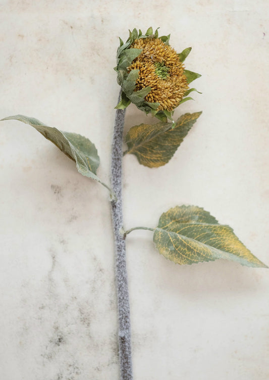A faux sunflower stem.