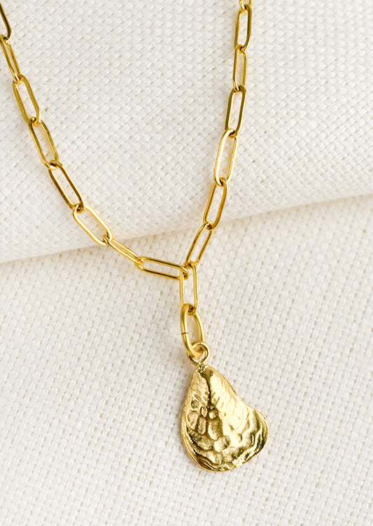 A necklace with paperclip link chain and oyster charm.