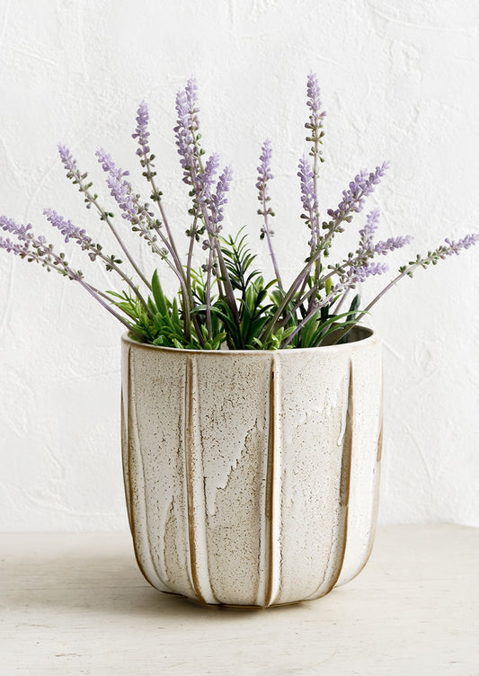 A ceramic planter with lavender plant.