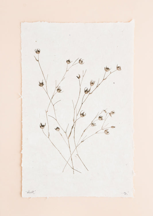 Stalks of long grasses are printed in black and white on rough edged paper.